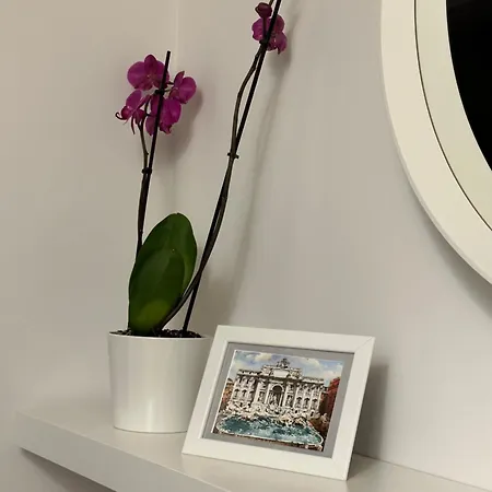 Trithome Boutique Barberini Rom